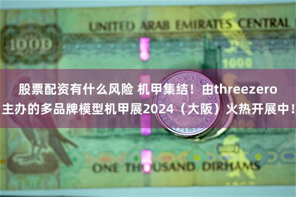 股票配资有什么风险 机甲集结！由threezero主办的多品牌模型机甲展2024（大阪）火热开展中！