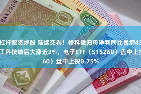 杠杆配资炒股 陆续交卷！格科微归母净利同比暴增439%！华工科技绩后大涨近3%，电子ETF（515260）盘中上探0.75%
