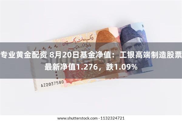 专业黄金配资 8月20日基金净值：工银高端制造股票最新净值1.276，跌1.09%