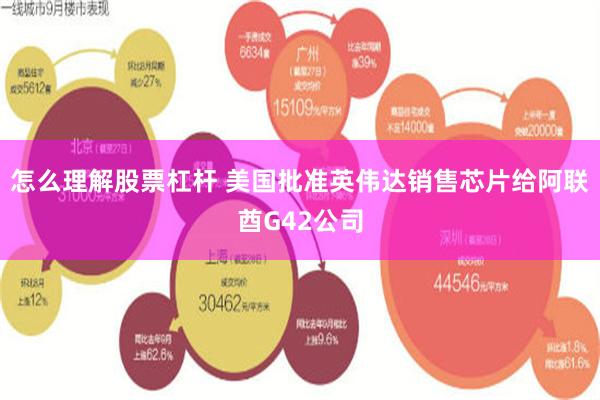 怎么理解股票杠杆 美国批准英伟达销售芯片给阿联酋G42公司