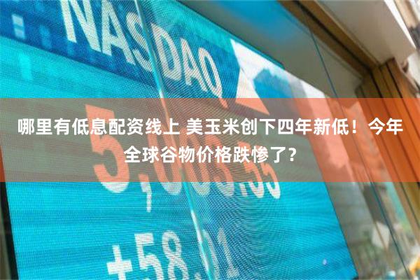 哪里有低息配资线上 美玉米创下四年新低！今年全球谷物价格跌惨了？
