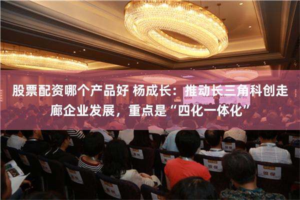 股票配资哪个产品好 杨成长：推动长三角科创走廊企业发展，重点是“四化一体化”