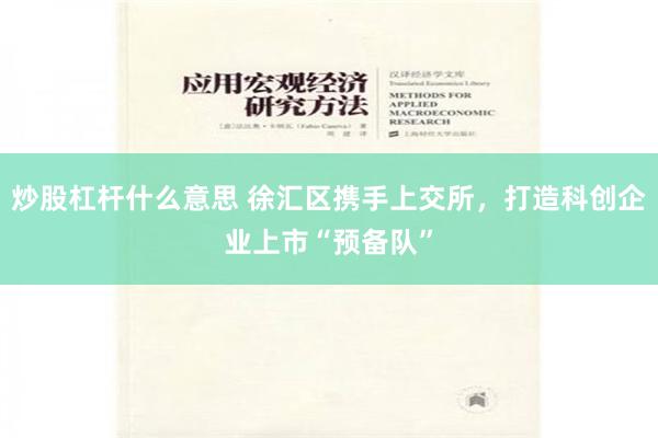 炒股杠杆什么意思 徐汇区携手上交所，打造科创企业上市“预备队”