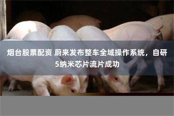 烟台股票配资 蔚来发布整车全域操作系统，自研5纳米芯片流片成功