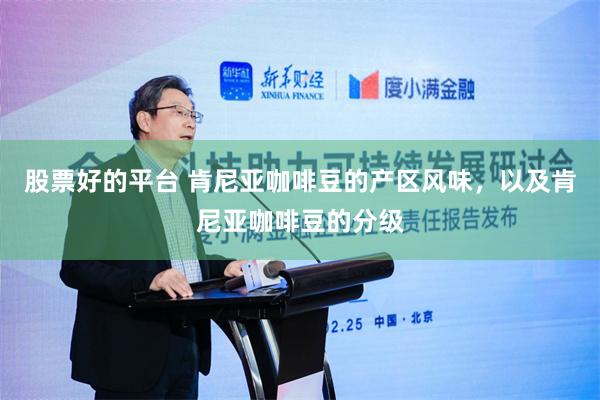 股票好的平台 肯尼亚咖啡豆的产区风味，以及肯尼亚咖啡豆的分级