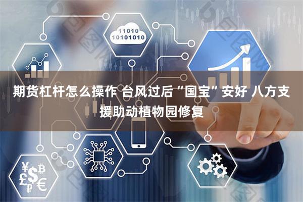 期货杠杆怎么操作 台风过后“国宝”安好 八方支援助动植物园修复