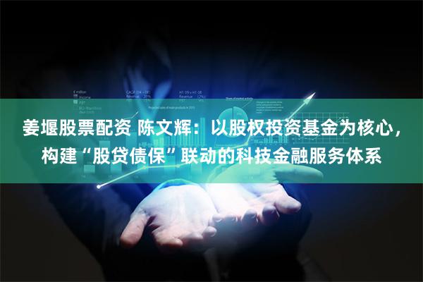 姜堰股票配资 陈文辉：以股权投资基金为核心，构建“股贷债保”联动的科技金融服务体系