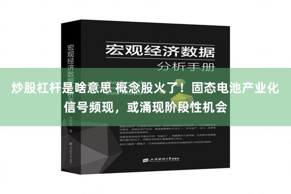 炒股杠杆是啥意思 概念股火了！固态电池产业化信号频现，或涌现阶段性机会