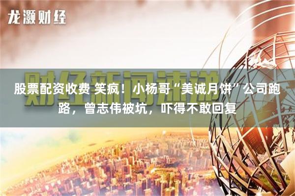股票配资收费 笑疯！小杨哥“美诚月饼”公司跑路，曾志伟被坑，吓得不敢回复