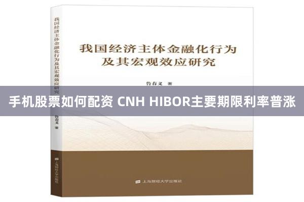手机股票如何配资 CNH HIBOR主要期限利率普涨