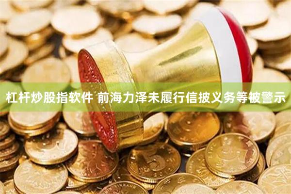 杠杆炒股指软件 前海力泽未履行信披义务等被警示