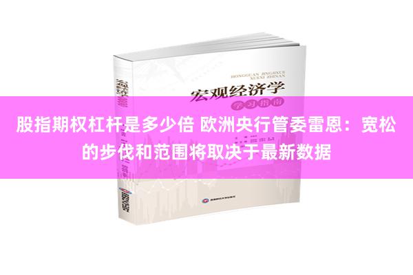 股指期权杠杆是多少倍 欧洲央行管委雷恩：宽松的步伐和范围将取决于最新数据