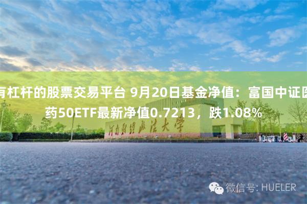 有杠杆的股票交易平台 9月20日基金净值：富国中证医药50ETF最新净值0.7213，跌1.08%