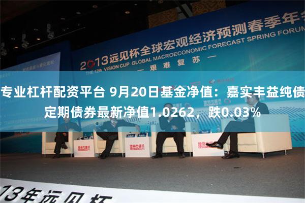 专业杠杆配资平台 9月20日基金净值：嘉实丰益纯债定期债券最新净值1.0262，跌0.03%