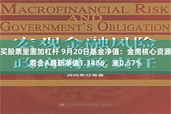买股票里面加杠杆 9月20日基金净值：金鹰核心资源混合A最新净值1.3486，涨0.57%