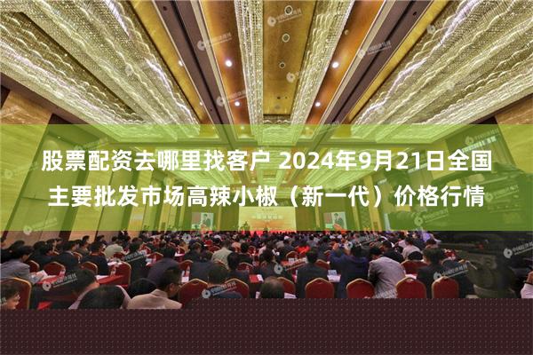 股票配资去哪里找客户 2024年9月21日全国主要批发市场高辣小椒（新一代）价格行情
