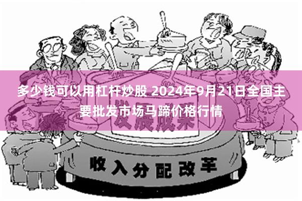多少钱可以用杠杆炒股 2024年9月21日全国主要批发市场马蹄价格行情