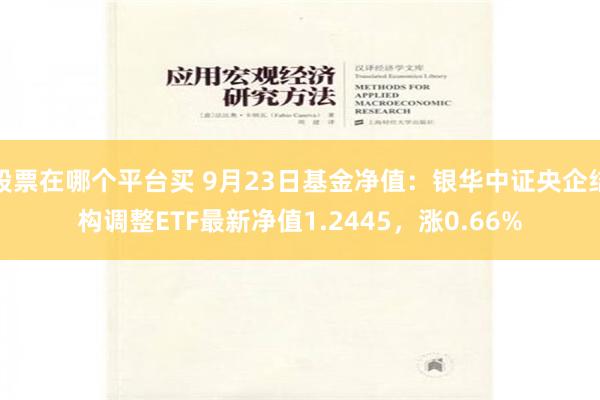 股票在哪个平台买 9月23日基金净值：银华中证央企结构调整ETF最新净值1.2445，涨0.66%