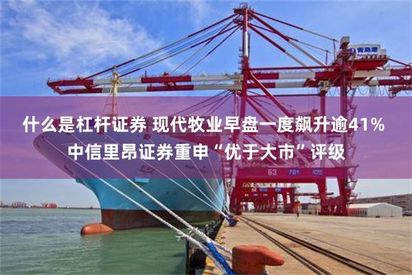什么是杠杆证券 现代牧业早盘一度飙升逾41% 中信里昂证券重申“优于大市”评级