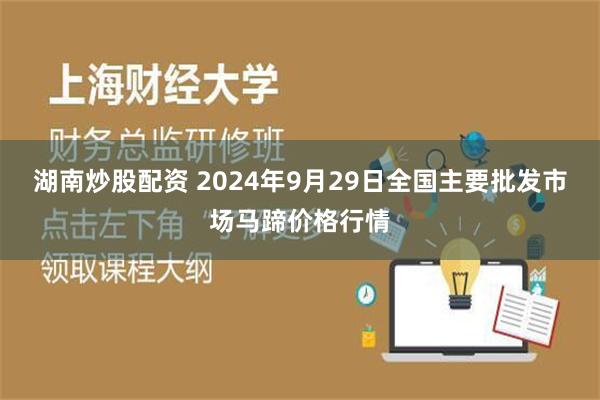 湖南炒股配资 2024年9月29日全国主要批发市场马蹄价格行情