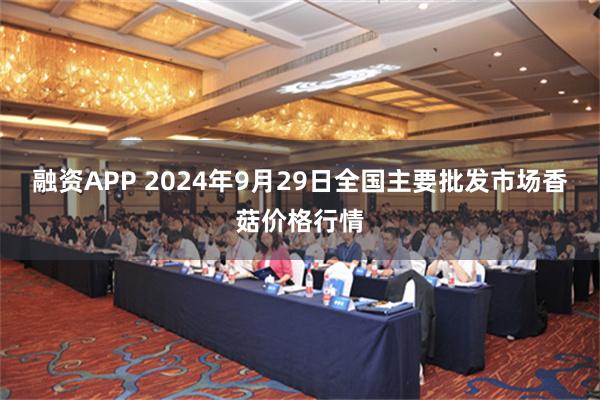 融资APP 2024年9月29日全国主要批发市场香菇价格行情