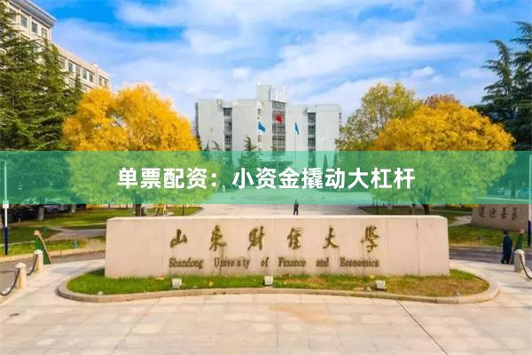 单票配资：小资金撬动大杠杆