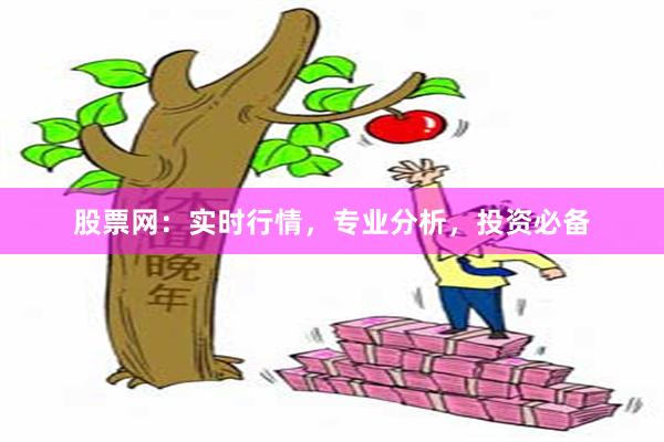 股票网：实时行情，专业分析，投资必备