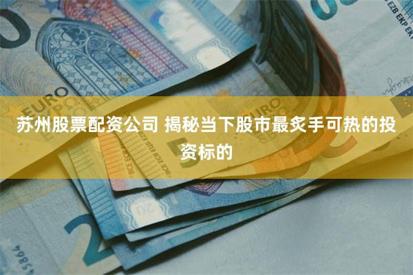 苏州股票配资公司 揭秘当下股市最炙手可热的投资标的