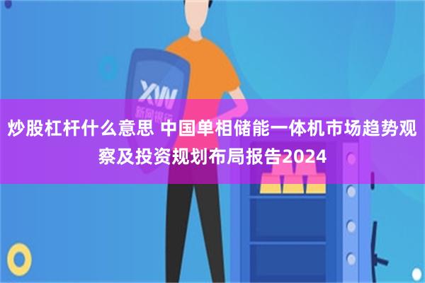 炒股杠杆什么意思 中国单相储能一体机市场趋势观察及投资规划布局报告2024