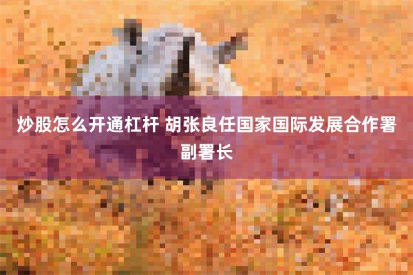 炒股怎么开通杠杆 胡张良任国家国际发展合作署副署长