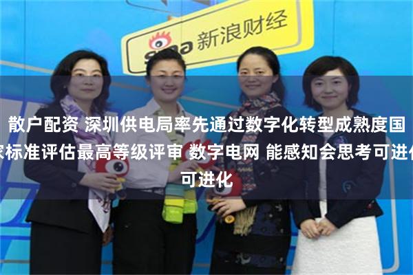 散户配资 深圳供电局率先通过数字化转型成熟度国家标准评估最高等级评审 数字电网 能感知会思考可进化