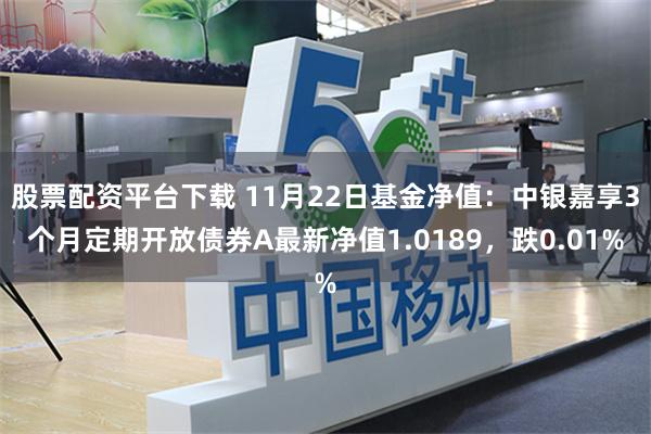 股票配资平台下载 11月22日基金净值：中银嘉享3个月定期开放债券A最新净值1.0189，跌0.01%