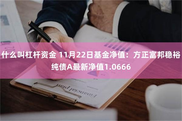 什么叫杠杆资金 11月22日基金净值：方正富邦稳裕纯债A最新净值1.0666