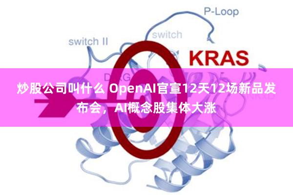 炒股公司叫什么 OpenAI官宣12天12场新品发布会，AI概念股集体大涨