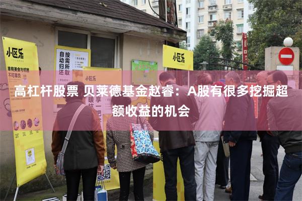 高杠杆股票 贝莱德基金赵睿：A股有很多挖掘超额收益的机会