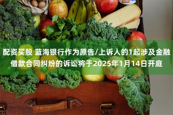配资买股 蓝海银行作为原告/上诉人的1起涉及金融借款合同纠纷的诉讼将于2025年1月14日开庭