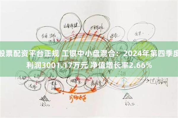 股票配资平台正规 工银中小盘混合：2024年第四季度利润3001.17万元 净值增长率2.66%