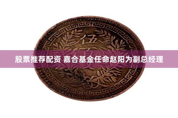 股票推荐配资 嘉合基金任命赵阳为副总经理