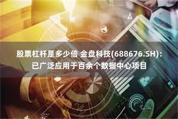 股票杠杆是多少倍 金盘科技(688676.SH)：已广泛应用于百余个数据中心项目