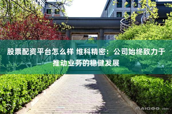 股票配资平台怎么样 维科精密：公司始终致力于推动业务的稳健发展