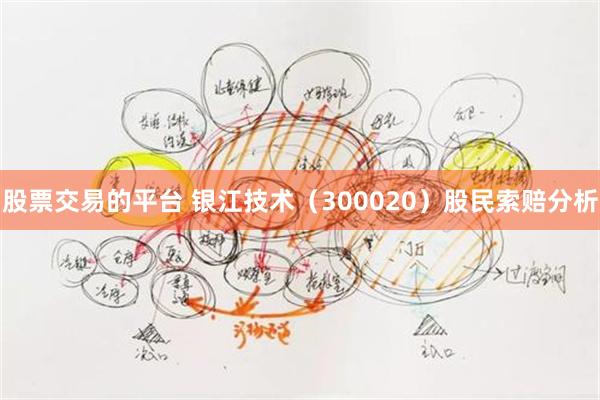 股票交易的平台 银江技术（300020）股民索赔分析