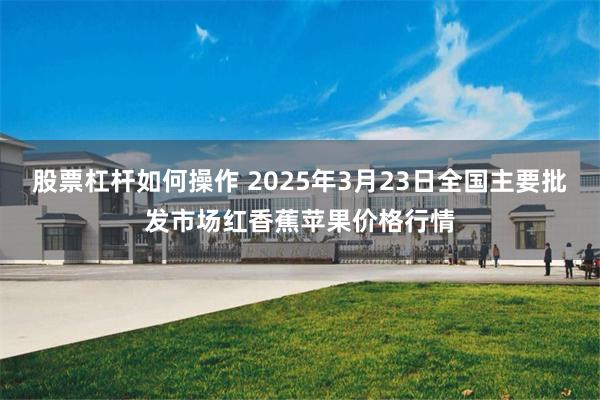 股票杠杆如何操作 2025年3月23日全国主要批发市场红香蕉苹果价格行情