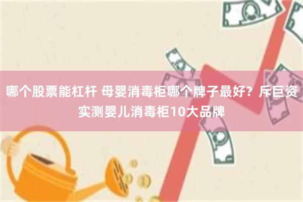 哪个股票能杠杆 母婴消毒柜哪个牌子最好？斥巨资实测婴儿消毒柜10大品牌