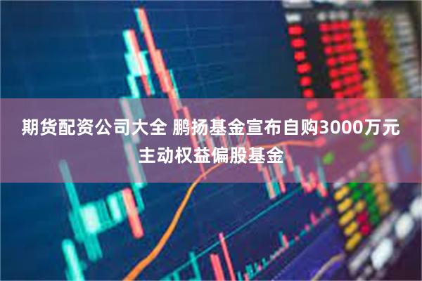 期货配资公司大全 鹏扬基金宣布自购3000万元主动权益偏股基金