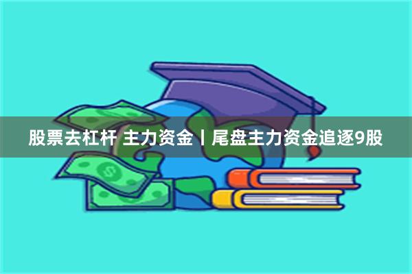 股票去杠杆 主力资金丨尾盘主力资金追逐9股