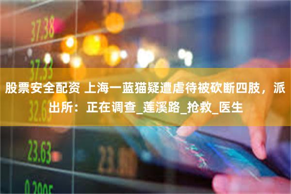 股票安全配资 上海一蓝猫疑遭虐待被砍断四肢，派出所：正在调查_莲溪路_抢救_医生