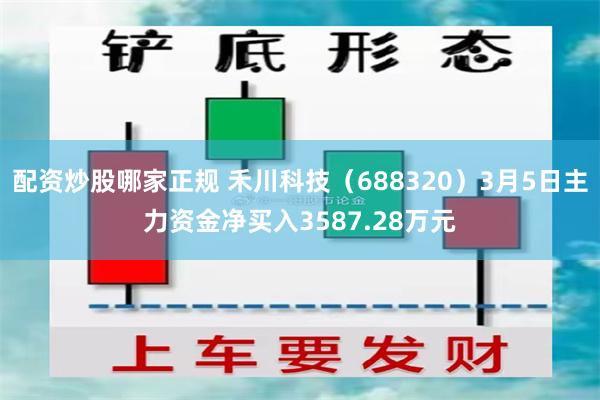 配资炒股哪家正规 禾川科技（688320）3月5日主力资金净买入3587.28万元