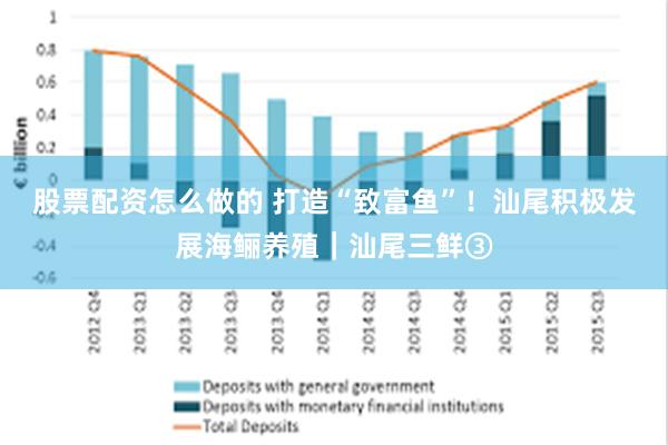 股票配资怎么做的 打造“致富鱼”！汕尾积极发展海鲡养殖｜汕尾三鲜③