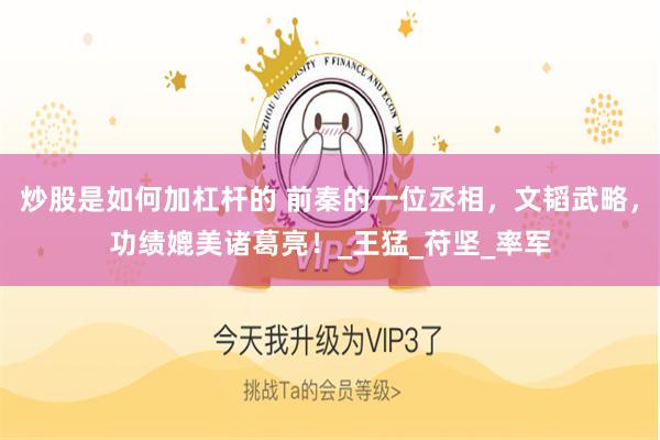 炒股是如何加杠杆的 前秦的一位丞相，文韬武略，功绩媲美诸葛亮！_王猛_苻坚_率军