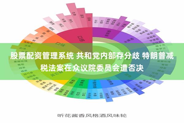 股票配资管理系统 共和党内部存分歧 特朗普减税法案在众议院委员会遭否决